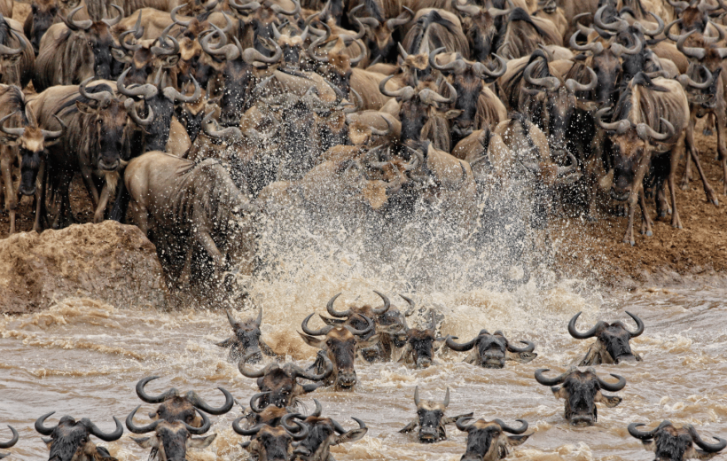  13-Day East Africa Combo Safari