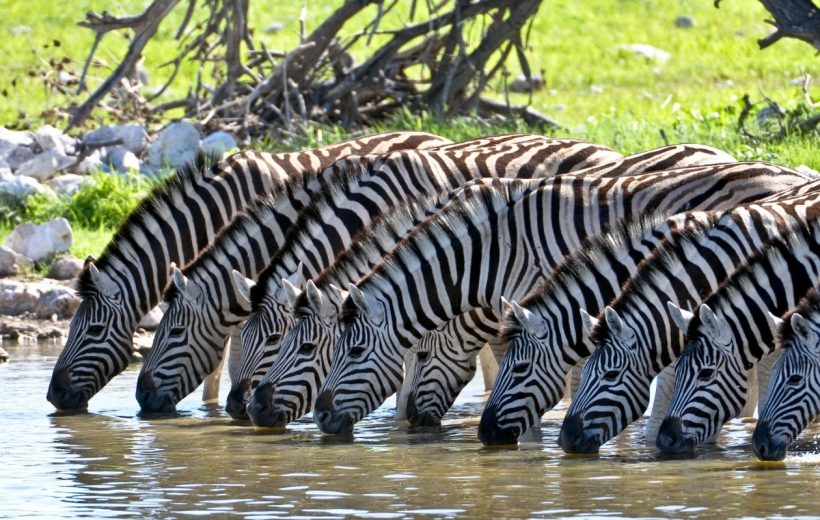 7-Day Kenya Classic Safari
